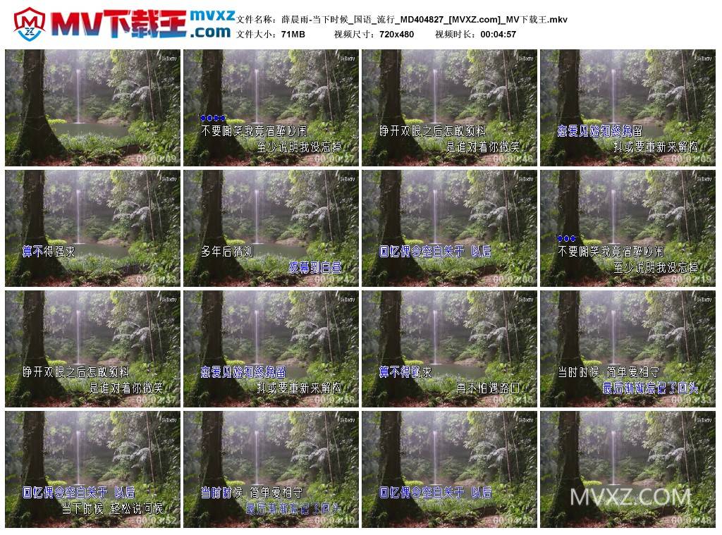 薛晨雨-当下时候_国语_流行_MD404827